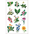 Ovo Flower Decals verschiedene Arten von 12 Motiven 1 Kleinbogen