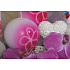 Lima Flora Kerzenball Durchmesser 80 mm 1 Stück