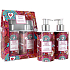 Vivian Gray Happy Birds Luxus-Flüssigseife 250 ml + Handmilch 250 ml, Kosmetikset