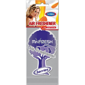 Mister Fresh Car Parfume Beeren hängen Lufterfrischer 1 Stück