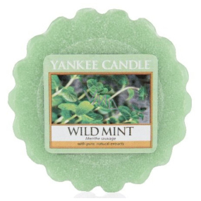 Yankee Candle Wild Mint - Duftwachs für Duftlampe Wild Mint 22 g