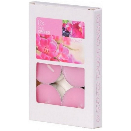 Bolsius Aromatic Pink Orchid - Teelichter mit Duft nach rosa Orchideen 6 Stück, Brenndauer 4 Stunden
