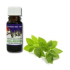 Slow-Natur Pfefferminze Aromaöl 10 ml