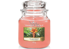 Yankee Candle The Last Paradise - Duftkerze mit mittlerem Paradies Klassisches mittleres Glas 411 g