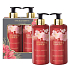 Baylis & Harding Boudoire Tropical Paradise - Tropisches Paradies Flüssigseife für die Hände 300 ml + feuchtigkeitsspendende Lotion für Körper und Hände 300 ml, Kosmetikset für Frauen