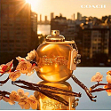 Coach Gold Parfum Parfüm für Frauen 90 ml