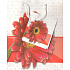 Nekupto Geschenkpapiertüte 14 x 11 x 6,5 cm Weiß mit roter Gerbera, 091 KAS