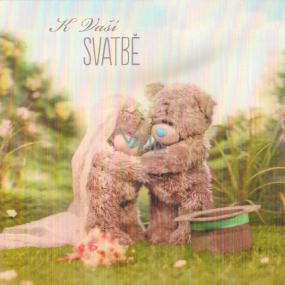 Me to You 3D Umschlag Grußkarte Hochzeit Teddybären in der Natur 15,5 x 15,5 cm