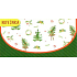 Nekupto Grußkarte Umschlag Geld Weihnachtsbäume 116 x 220 mm