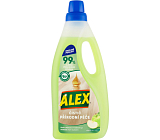 Alex Reiniger Extra Pflege mit Duft von grünem Apfel, 750 ml