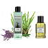 Jeanne en Provence Männer Lavande & Vétiver - Lavande & Zitronengras 2in1 Duschgel 250 ml + Eau de Toilette 100 ml, Kosmetikset für Männer
