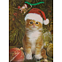 Nekupto Geschenk Papiertüte 32,5 x 26 x 13 cm Katze 1 Stück 458 50 BL