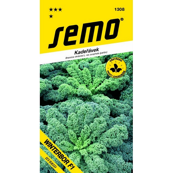 Semo Curls Winterbor F1 grün 40 Samen