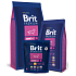 Brit Premium Adult Mit erwachsenen Hunden Hunde kleiner Rassen 1 - 10 kg - 8 kg Komplettes Premiumfutter