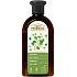Green Pharmacy Shampoo gegen Schuppen mit Birke und Rizinusöl 350 ml