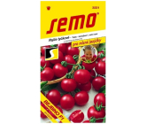 Semo Tomaten Baby-Cocktail-Tomaten sehr früh Bejbino F1 Hybrid