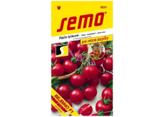 Semo Tomaten Baby-Cocktail-Tomaten sehr früh Bejbino F1 Hybrid