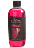 Millefiori Milano Natural Mela & Cannella - Nachfüllung von Apfel- und Zimtdiffusor für Weihrauchstiele 250 ml