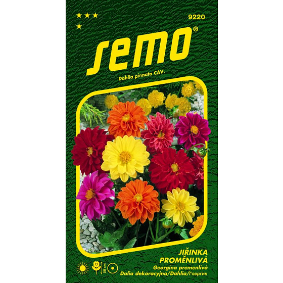 Semo Jiřinka variable Kompaktmischung 1 g