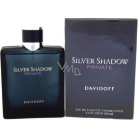 Davidoff Silver Shadow Private Eau de Toilette für Männer 100 ml