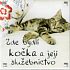 Albi Magnet Hier lebt eine Katze und ihre Diener 6,5 x 6,5 cm
