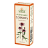 Sinner Echinacea Tropfen zur Unterstützung der natürlichen Abwehr 50 ml