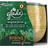 Glade Magical Forest - Duftkerze aus Kiefernnadeln, Bernstein und Waldfrüchten in Glas, Brenndauer bis zu 30 Stunden 120 g