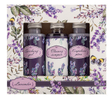 Bohemia Gifts Lavendel Duschgel 50 ml + Shampoo 50 ml + Schaum 50 ml, Kosmetikset