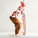 Kenzo Flower von Kenzo Ikebana Eau de Parfum für Frauen 75 ml