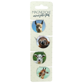 Albi Magnetische Miniordner Fotografierte Tiere, Durchmesser 3 cm 4 Stück