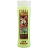 Böhmen Geschenke Alfons Mucha Oliva und Citrus Duschgel 200 ml