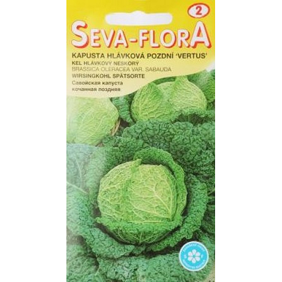 Seva - Flora Spätkopfkohl Vertus 0,8 g