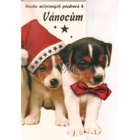 Nekupto Weihnachtskarte 2 Hunde
