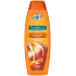 Palmolive Naturals Milk & Honey Shampoo für trockenes Haar 350 ml