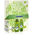 Schauma Nature Moments Mediterranes Olivenöl und Aloe Vera Shampoo 250 ml + Spülung 200 ml, Kosmetikset