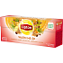 Lipton Warm Me Up Tee mit Fruchtgeschmack und Gewürzen 20 Aufgussbeutel 36 g