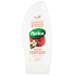 Radox Verwöhnt mit dem Duft von Jasmin und Himbeeren Duschgel 250 ml