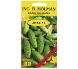 Salatgurken Holman F1 Jitka 2,5 g