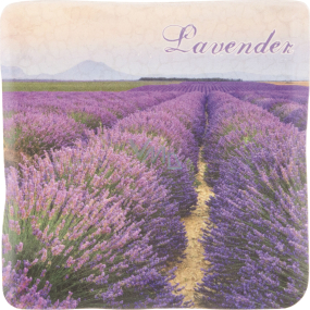 Böhmen Geschenkbox mit Lavendel Zierfliesen 10 x 10 cm