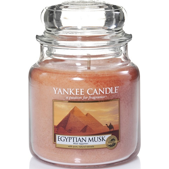 Yankee Candle Egyptian Moschus - Duftkerze aus ägyptischem Moschus Klassisches mittleres Glas 411 g