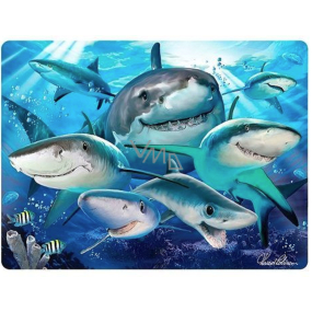 Prime3D Postkarte - Shark Selfie 16 x 12 cm