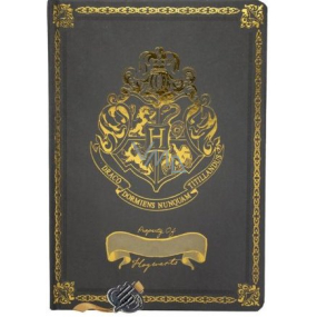 Degen Merch Harry Potter - Hogwarts Schlafsäle A5 21 x 14,8 cm Premium schwarz