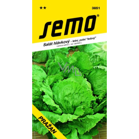 Semo-Salat Sommer, Feldeis Prag 0,6 g