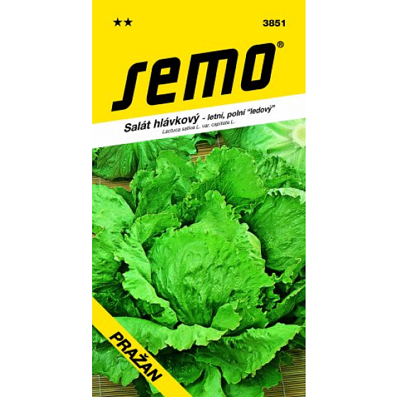 Semo Salat Kopfsalat Sommer, Freiland Eisberg Pražan 0,6 g