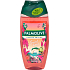 Palmolive Secret View Duschgel 500 ml