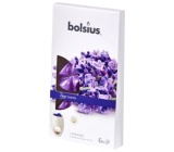 Bolsius Aromatic True Scents Lavendel - Lavendel duftendes Wachs für Aromalampen 6 Stück
