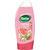 Radox Uplifting Grapefruit und Basilikum Duschgel 250 ml