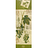 Nekupto Geschenk Papiertüte für Flasche 33 x 10 x 9 cm Rebe 1 Stück 0310 50 ALH