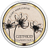 Catrice Glow Patrol Glühender Textmarker-Aufheller C01 Muse 8,5 g