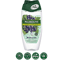 Palmolive Pure Blackcurrant Duschgel 250 ml